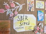 Vyhodnocení sběru šípků